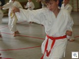 Picture 8538