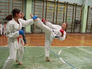 Изображение 041g (676)